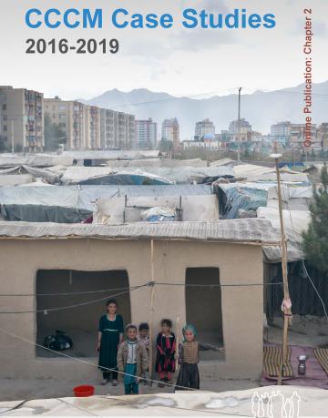 CCCM_Case Studies 2016 - 2019 online publication chapter 2 - six children stand outside their home in Kabul smiling and playing with sticks, in the background is the horizon line of the city then the mountains