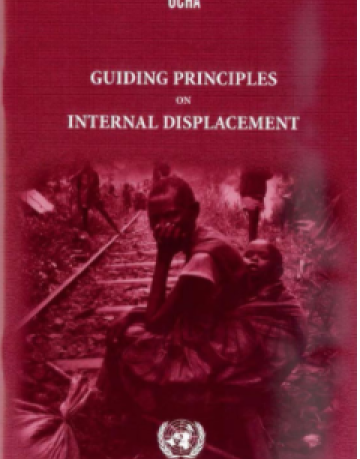 Guiding Principles