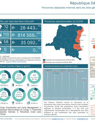Statistiques_des_pdis_par_sites_31_janvier_2025 DRC