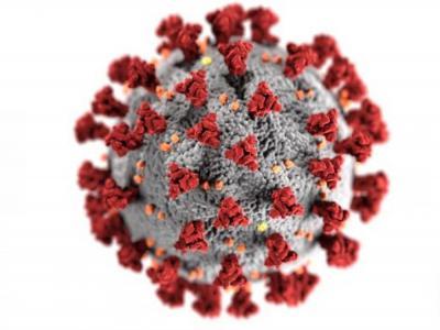 CCCM Tuesdays: CCCM in COVID-19 webinar series