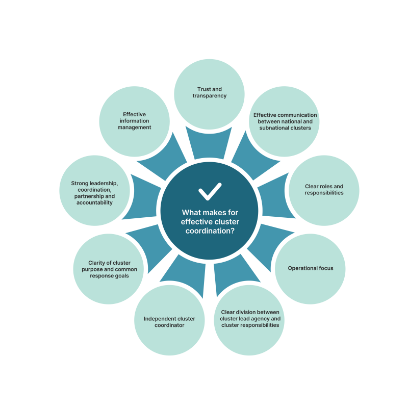 What makes an effective cluster coordination