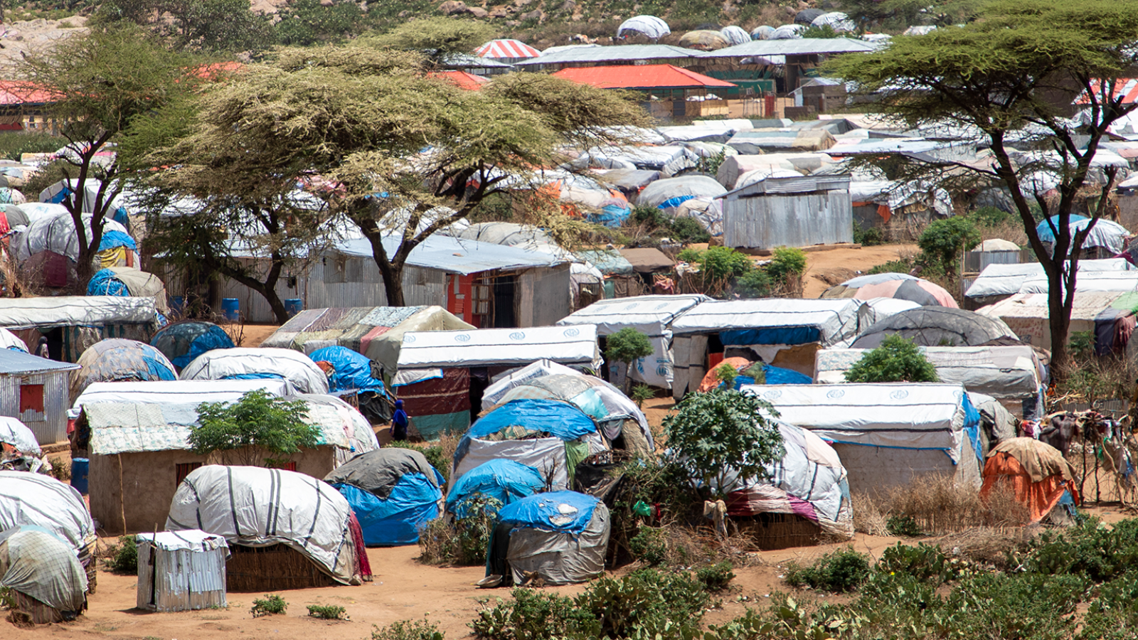 Qoloji Site in Somali-Ethiopia