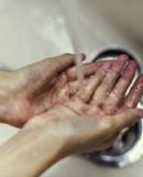 Hands