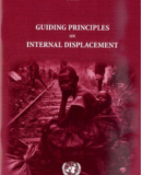Guiding Principles