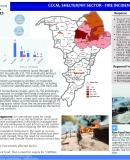 Nigeria fire incident report