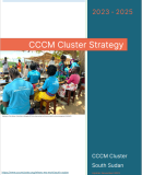 Cluster Strategy Cover