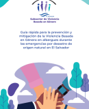 Guía VBG