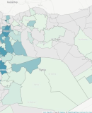 Syria IDP intention survey