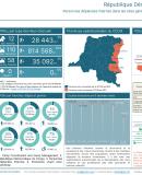 Statistiques_des_pdis_par_sites_31_janvier_2025 DRC