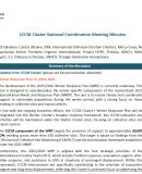 CCCM Cluster National Coordination Meeting Minutes, 1 July 2025
