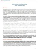 CCCM Cluster Transition Strategy-Ukraine